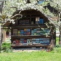 Bienenkästen vom Bienenhof Obermillstatt