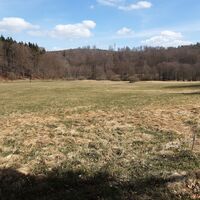 Blick auf die Storchswiese