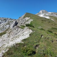 Enzianwiesen