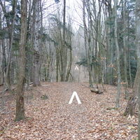 Schlussstück Aufstieg am Adolf-Müller-Weg
