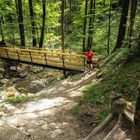 Scheffau_Rehbachklamm_Brücke_Sommer