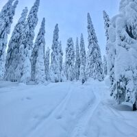 Mustarinda Naturpfad
