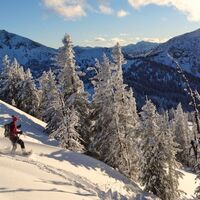 Schneeschuhspaß beim Abstieg
