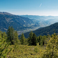 Spittal Blick