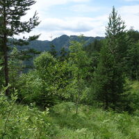 am Aufstiegssteig
