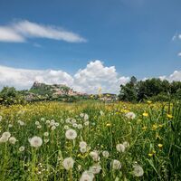 Sommerlicher Ausblick auf die Riegersburg