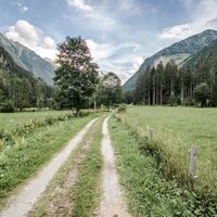 Umgehen von saftigem Grün ist der Knappenweg ins Obertal