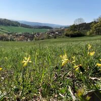 Blick auf Kleingölitz