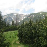 Payerbach - Puchberg