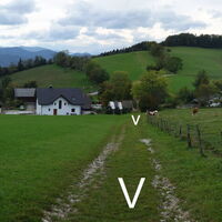 Aufstieg zum Holzkogel