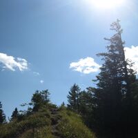 Hinternaßwald - Grenzriegel - Amaißbichl
