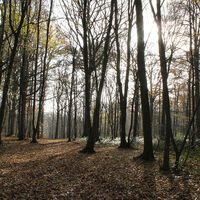Creuse_Wanderung