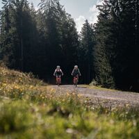 mountainbike tour dorf tirol