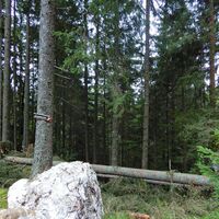 Eisenkappler Hütte - Seebergsattel