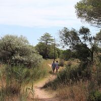 Wanderung la Tamarissière