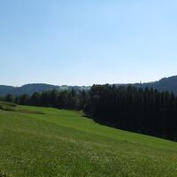 Wiesenlandschaft