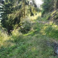 Links hinunter Richtung Badeteich Kronsegg