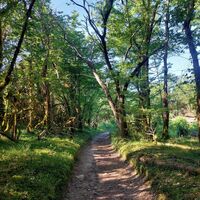 Chemin du Lac d'Armaille