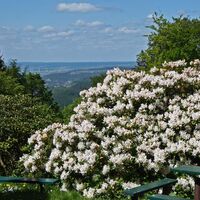 Blick zum Hörselberg