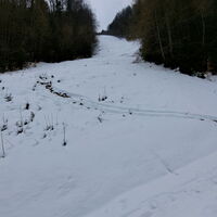 Blick auf die Piste hoch