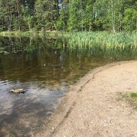 Lammassaari