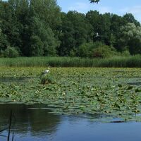 Charlottensee - Copyright by Berthold Hänssler