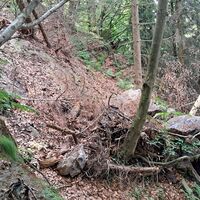 steiler Abstieg vom Kleinen Peilstein