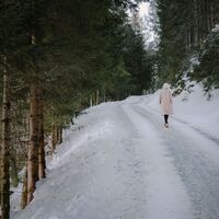 Winterwanderung am Gelsenberg