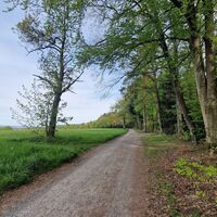 Entlang des Panoramawegs Straubenhardt