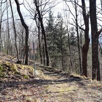 Abstieg am Schreiberberg