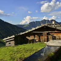 Stettauer Alm im Sommer