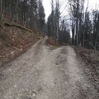 Rinnende Mauer Trail - Molln (lang)