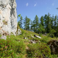 die letzten Meter zum Rosentalsattel