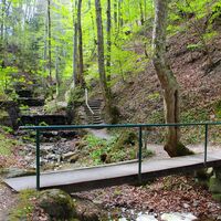 Timberlandtrail