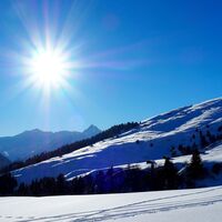 Winterimpression