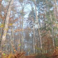 Kreuzweg, Thannhausen, Oststeiermark