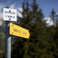 Bindbärgji