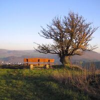 Randeck Blick