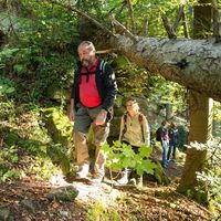 Naturpark-Augenblick-Runde Holzbronn_Singeltrail