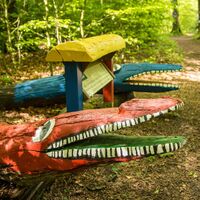 Naturerlebnis Wald Meerhof
