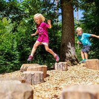 Holzstumpfhüpfen Römer-Tour