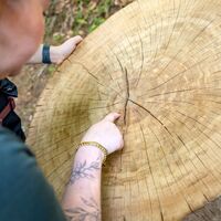 Wildschönau Auffach Holzweg @