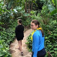 Auf Schmetterlingsafari durch die Schmetterlingwelt Tattendorf