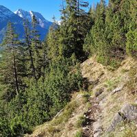 Weg durch die Latschen am Südhang entlang