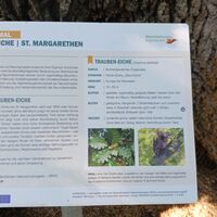 Bike Buddies Burgenland