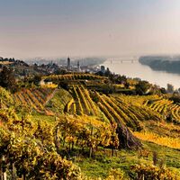 Herbstlandschaft rund um Krems