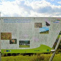 Infotafel Naturschutzgebiet Grotenberg in Welleringhausen