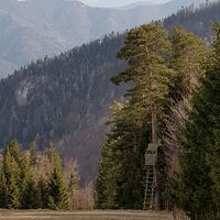 Blick zum Schneeberg