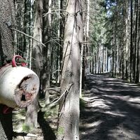 Zwischen Wegespinne und Sieglitzmühle