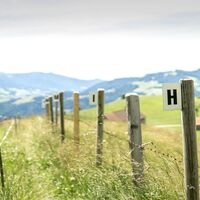 Der StandWortWeg in Doren